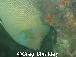 Taken in Pensacola, Fl. On the Tex Edwards by Greg Bleakley 